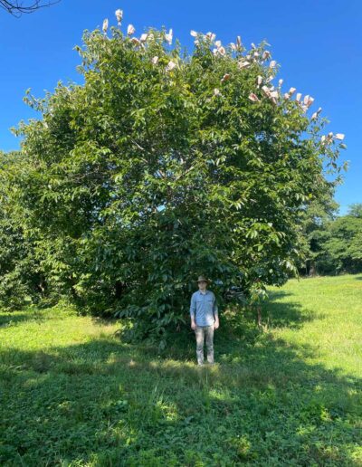 D2-19-136 with person for scale
