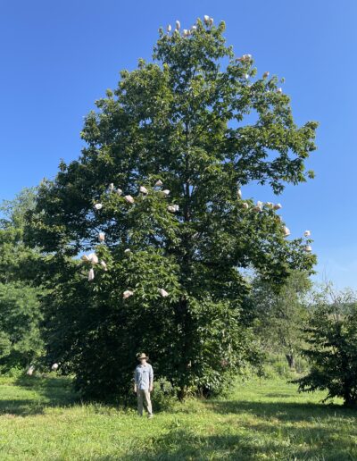 D4-14-39 profile with person for scale
