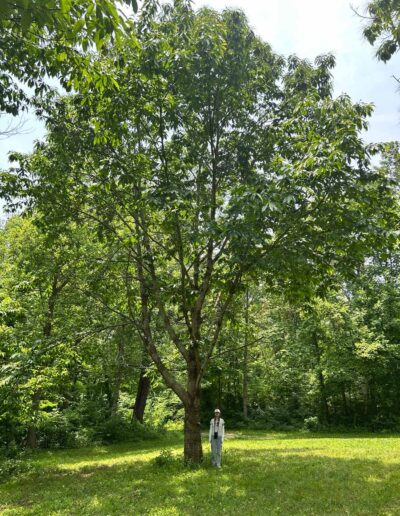VA-LSFA-R26C5 profile with person for scale