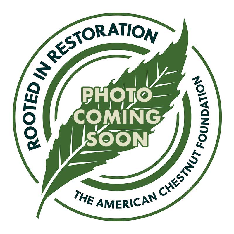 placeholder image, photo coming soon