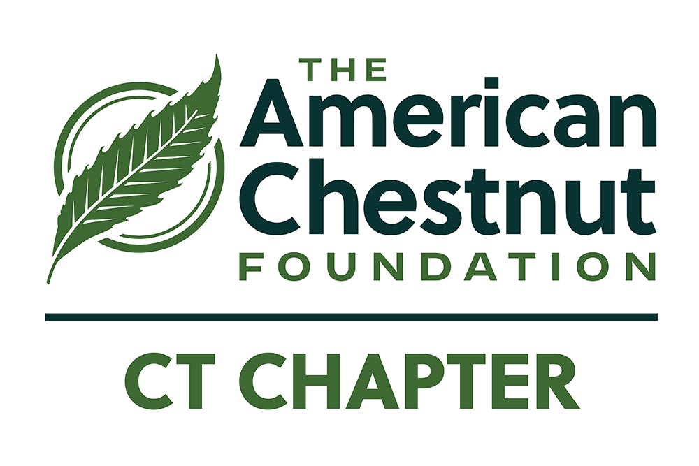 CT Chapter logo