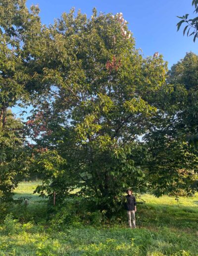 D2-18-122 with person for scale