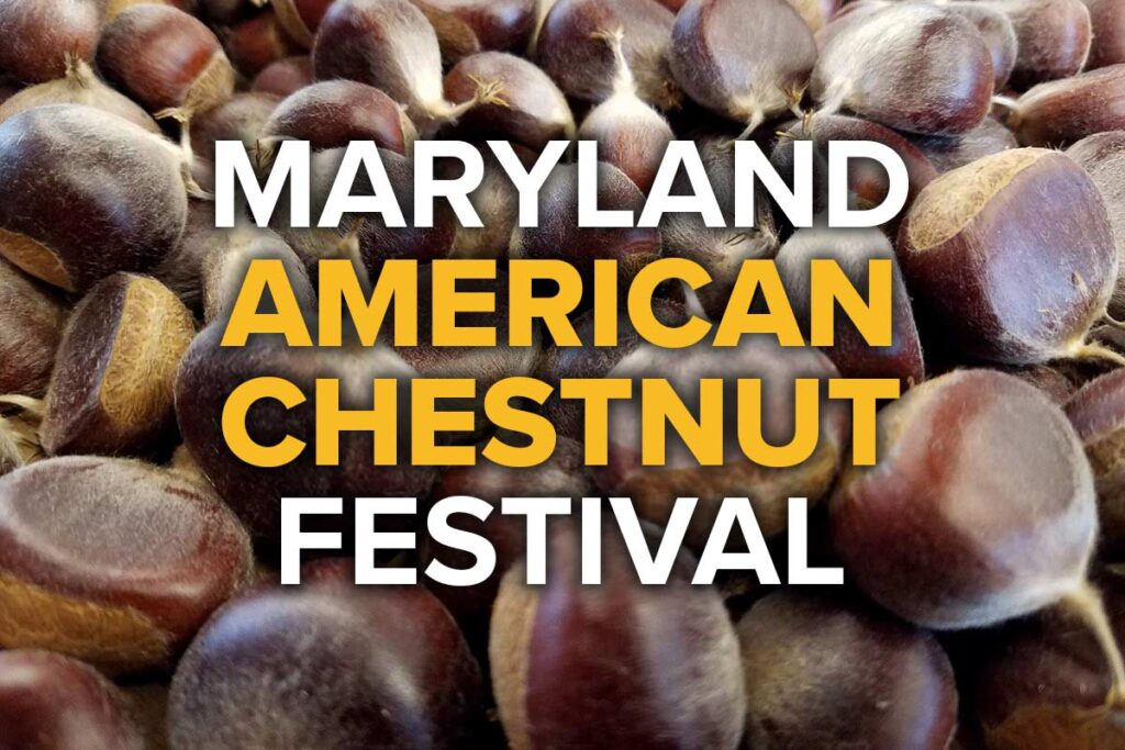 Maryland American Chestnut Festival
