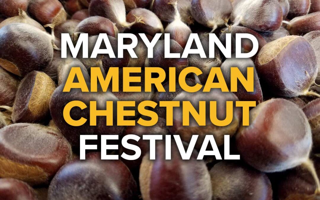 Maryland Chapter Chestnut Festival