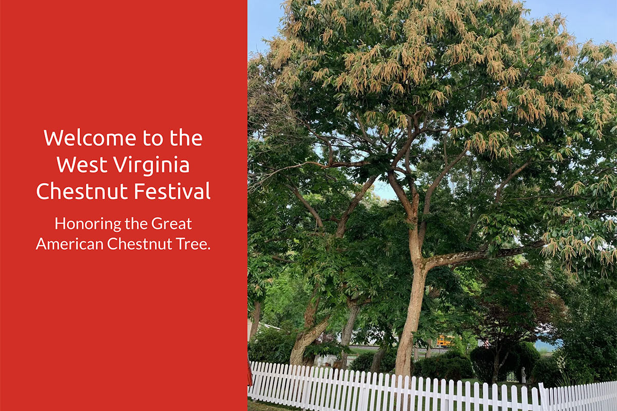 WV Chestnut Festival promotion image