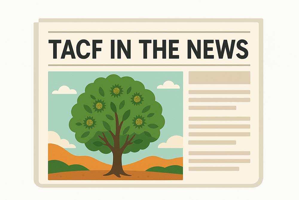 illustration of newspaper with headline TACF IN THE NEWS