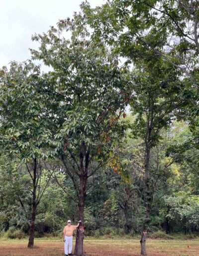 PA-coF2-182, profile with person for scale