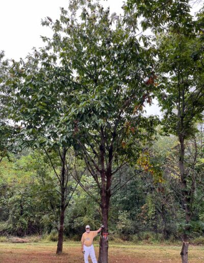 PA-coF2-182, profile with person for scale
