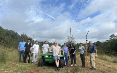 Chestnut Harvest at the Chestnut Return Farm, Seneca, SC, September 25, 2025