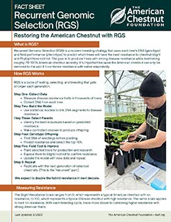 Recurrent Genomic Selection fact sheet thumbnail