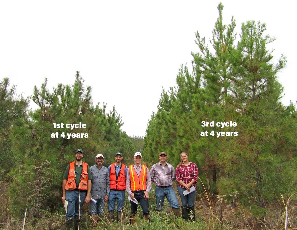 Third cycle family vs first-generation family at age four years demonstrating improvements for growth in loblolly pine