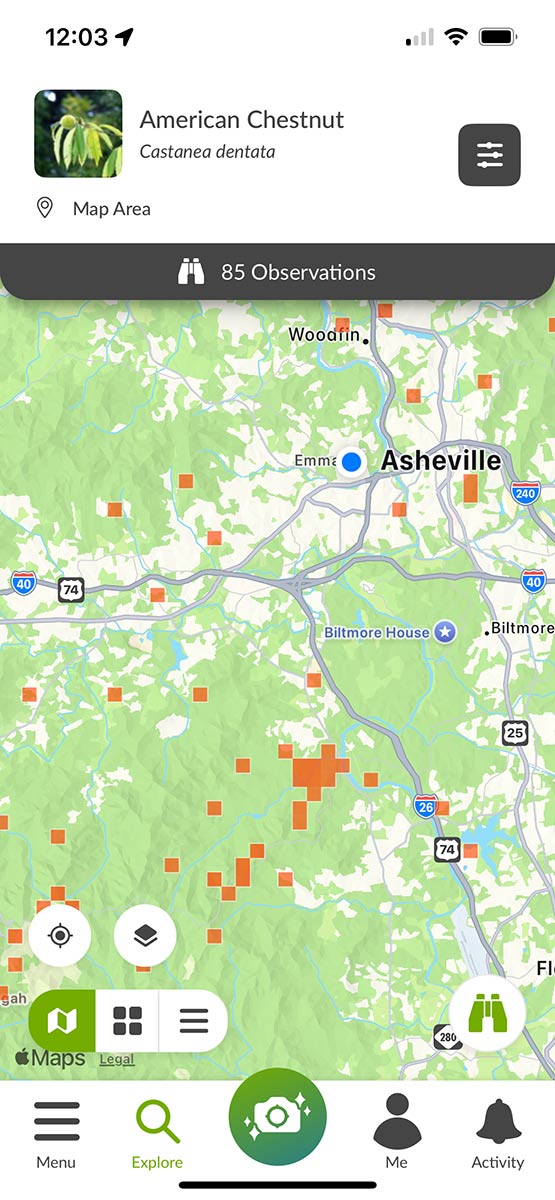screenshot of iNaturalist mobile app
