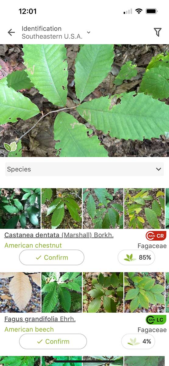 Screenshot of PlantNet mobile app