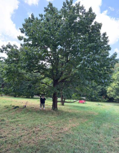 MD-11-339 with person for scale