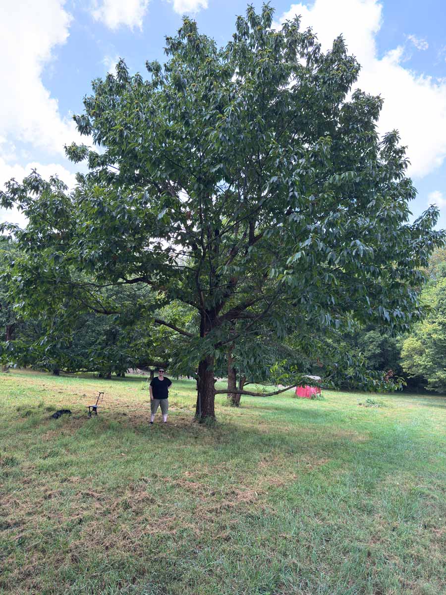 Profile with person for scale MD-11-339 with person for scale