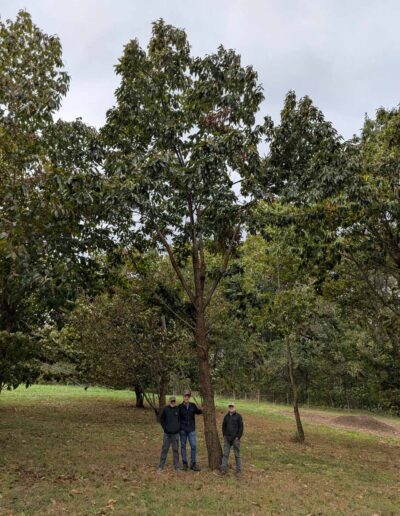 MD-11-359 profile with person for scale