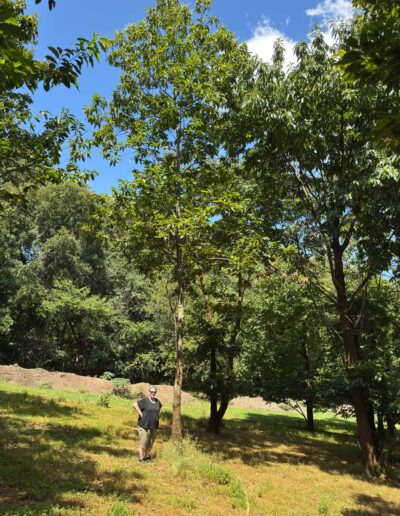 MD-11-381 profile with person for scale