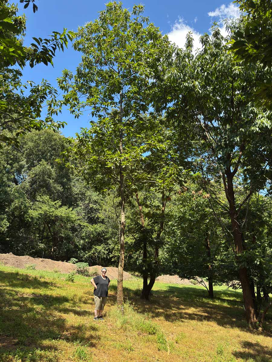 Profile with person for scale MD-11-381 profile with person for scale
