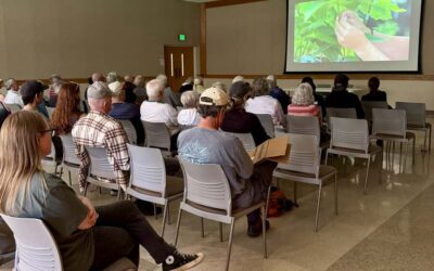 American Chestnut Day At The North Carolina Arboretum, Asheville, NC, October 4, 2025