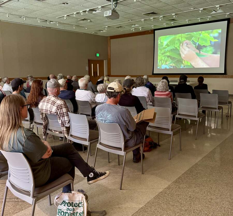 Documentary showing of "Clear Day Thunder: Rescuing the American Chestnut"