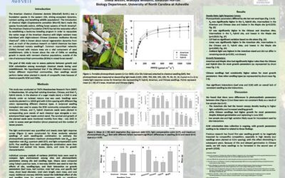 Evaluating Survival, Growth, and Physiology of American, Chinese, and Hybrid Chestnut Seeds Out-planted in Established Chestnut Plantations 