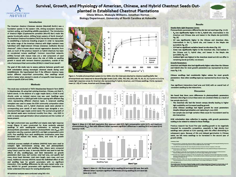 Evaluating Survival, Growth, and Physiology of American, Chinese, and Hybrid Chestnut Seeds Out-planted in Established Chestnut Plantations  Featured Image