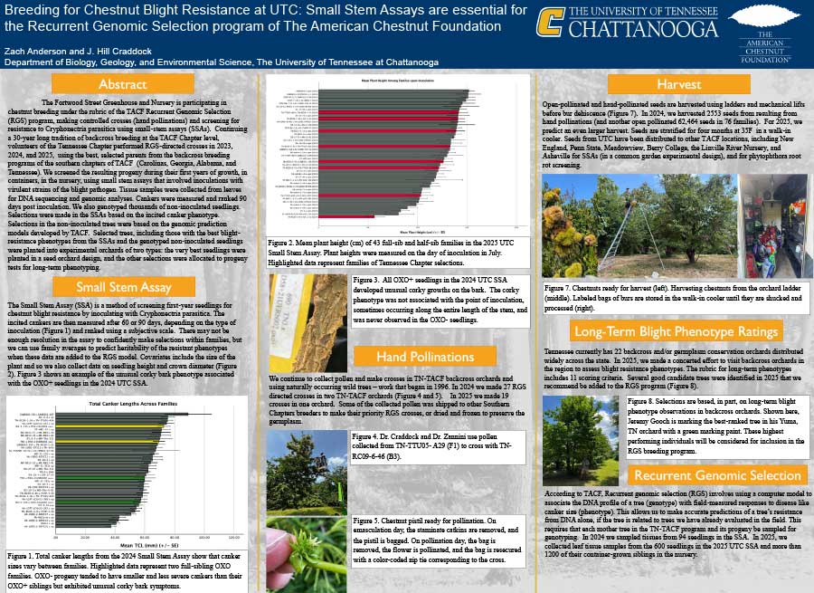 Breeding for Chestnut Blight Resistance at UTC: Small Stem Assays are essential to the Recurrent Genomic Selection program of The American Chestnut Foundation Featured Image