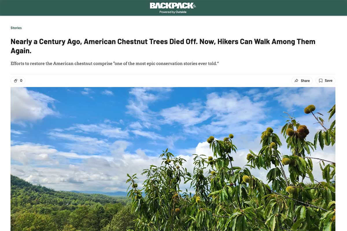 Backpacker magazine article screenshot