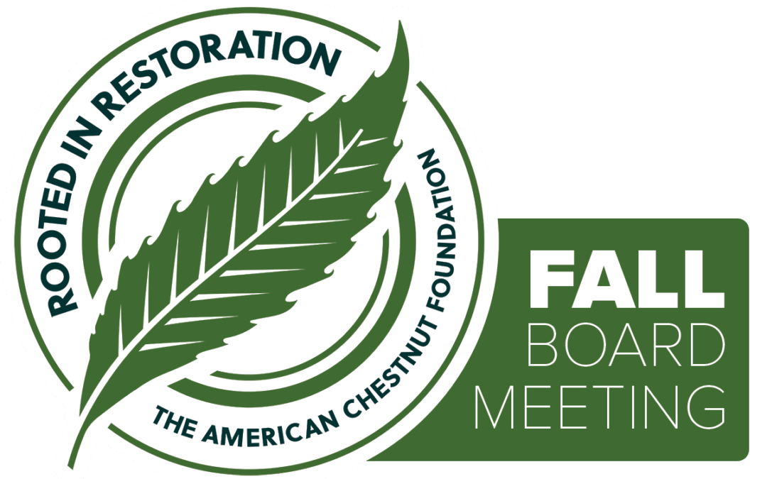 TACF Fall Board Meeting