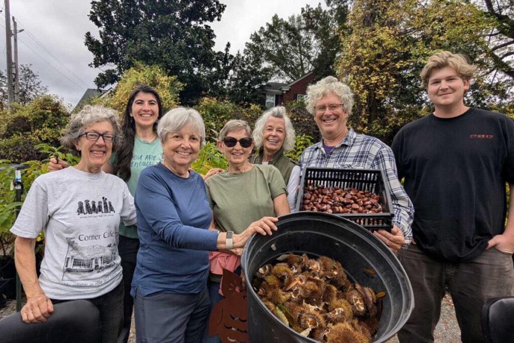 TN volunteers at chestnut shucking party