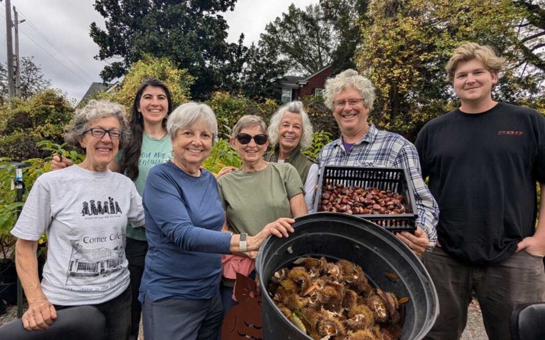 TN – Chestnut Shucking Party (part two) at the Fortwood Street Greenhouse