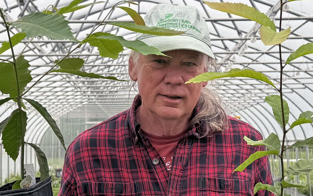 Chestnut Chat: Nuts About Nuts – Honoring the people who make it all possible