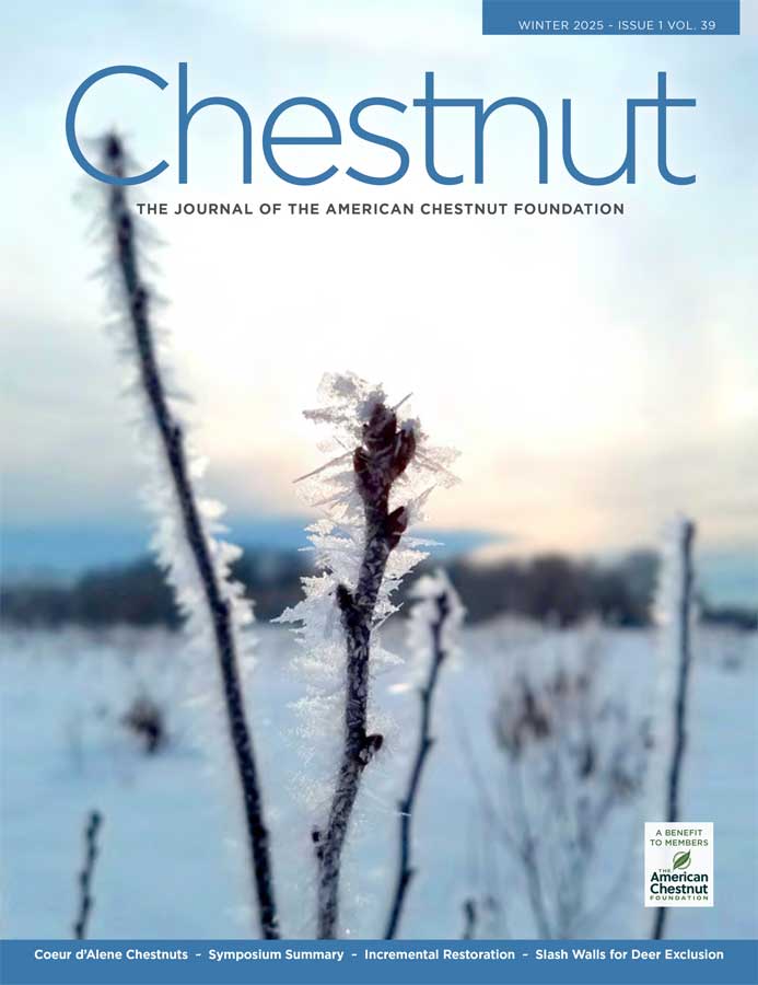 Cover of Winter 2025 Chestnut magazine