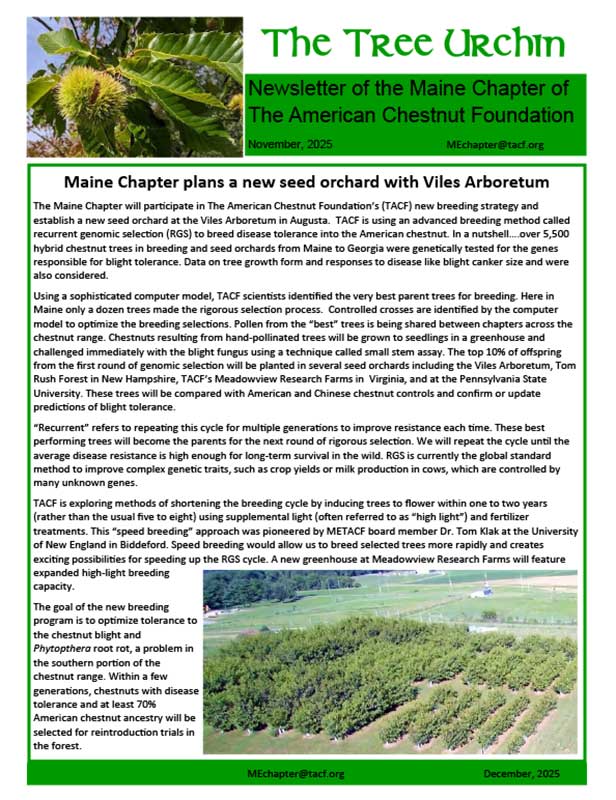 Cover of Maine Newsletter, December 2025