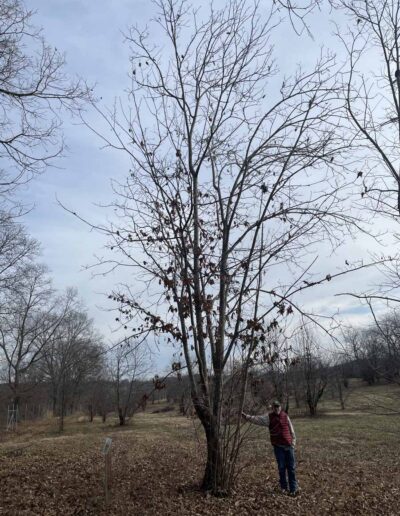 D1-3-59, 12-17-2025, Winter Form with Human Scale