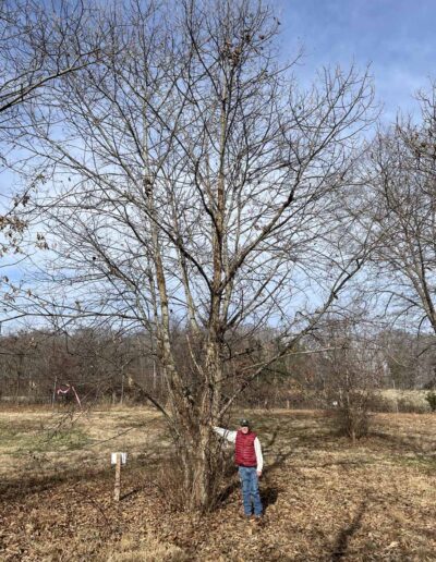 D2-18-122, 12-17-2025, Winter Form Human Scale