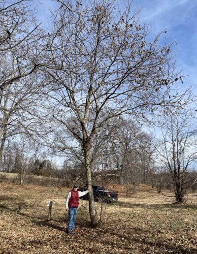 D2-19-136, 12-17-2025, Winter Form with human for scale