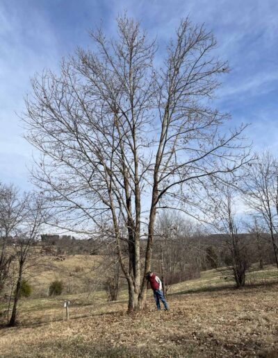 D4-14-39, 12-17-2025, Winter form with human for scale