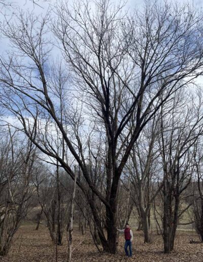 M1409, 12-17-2025, Winter form with human for scale
