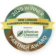 New London, NH Conservation Commission wins American Chestnut Foundation 2025 Partner Award