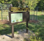 A kiosk in front of a fenced in chestnut orchard