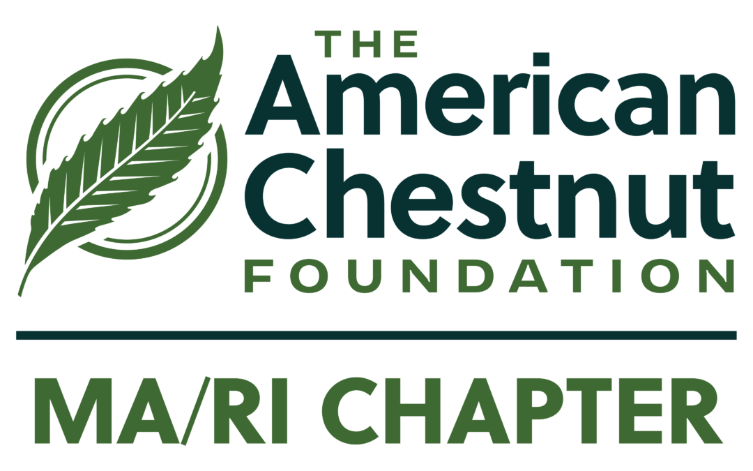 MA/RI-TACF Spring 2026 Quarterly Meeting