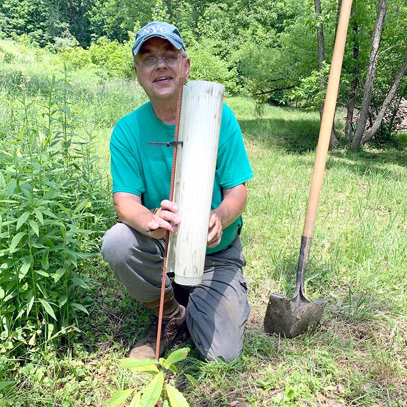 Mark Double planting an American chestnut