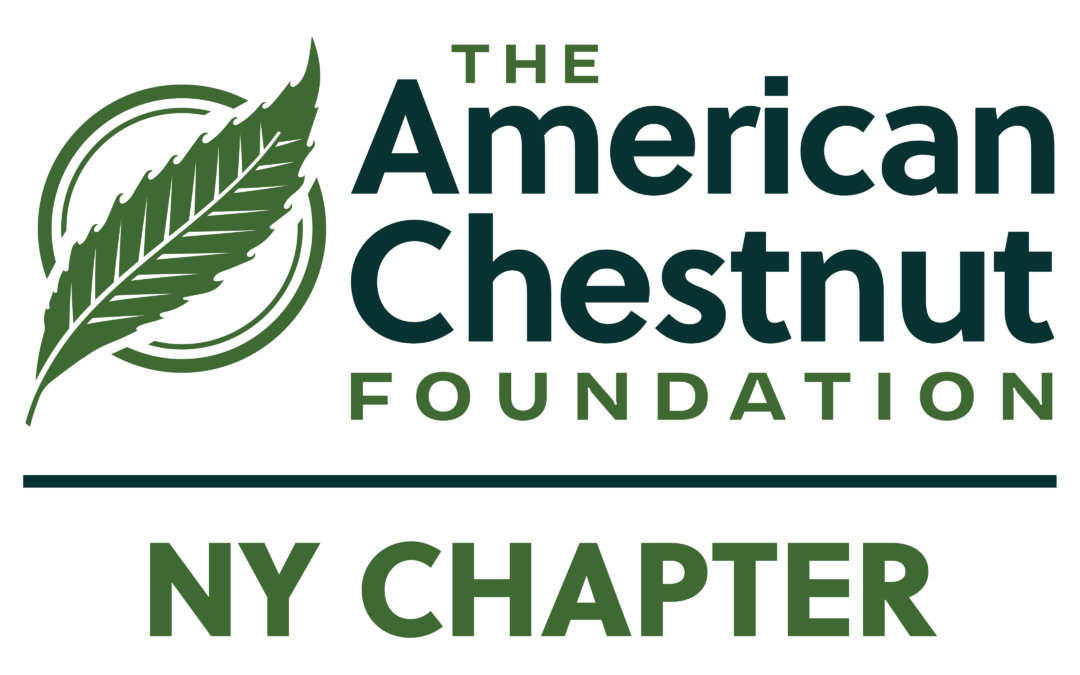 NY-TACF Chapter Meeting