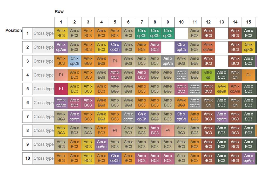 Screenshot of an orchard in Dentatabase