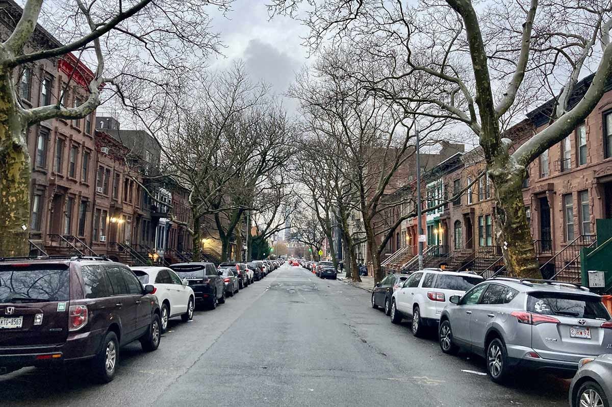 Hattie Carthan's street, Bed-Stuy. Image via Georgia Silvera Seamans 2023.