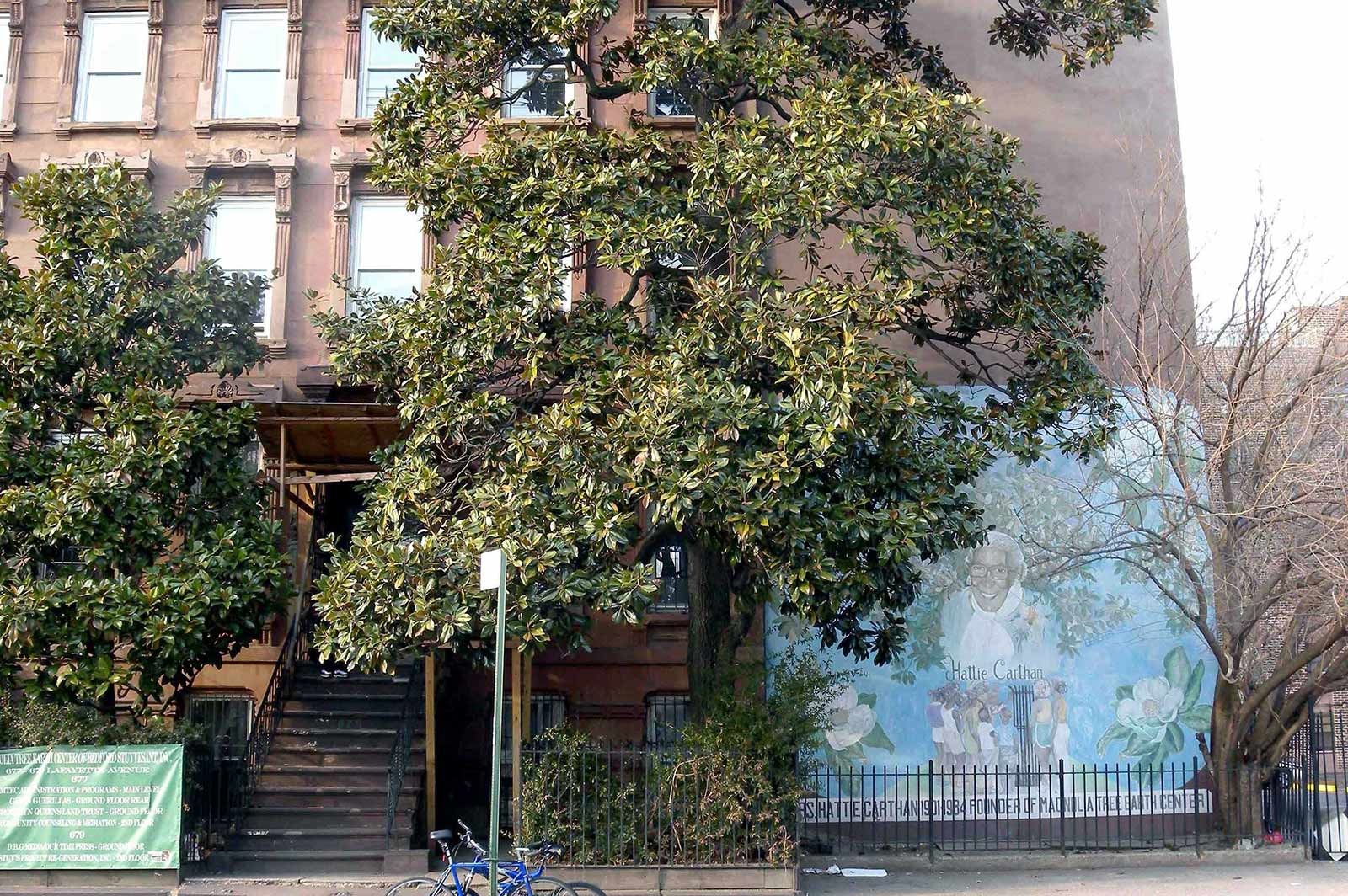 Magnolia Tree Center in 2009