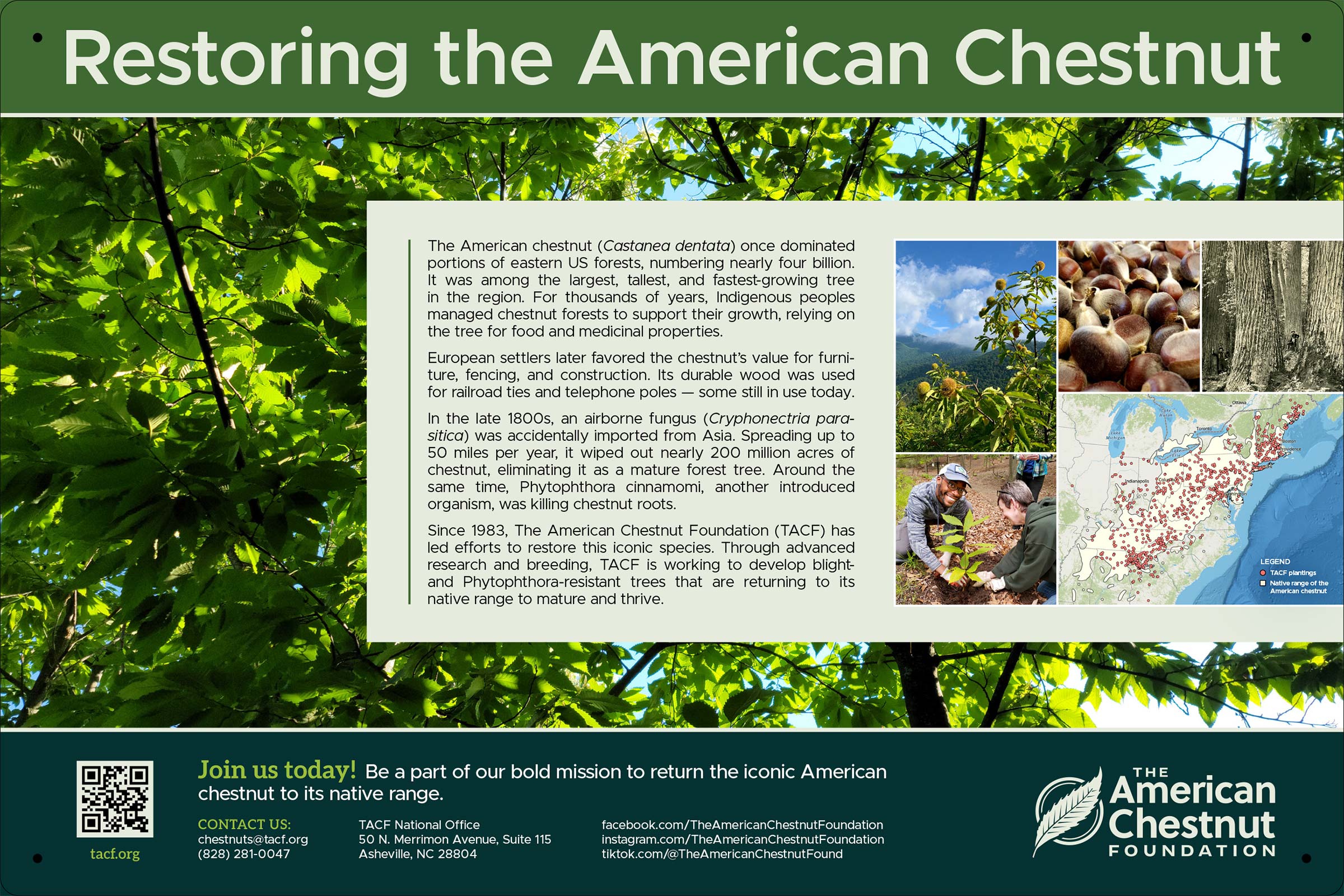 HorizSinglePanel_TACF-2400 Orchard Sign artwork, single panel horizontal 2026