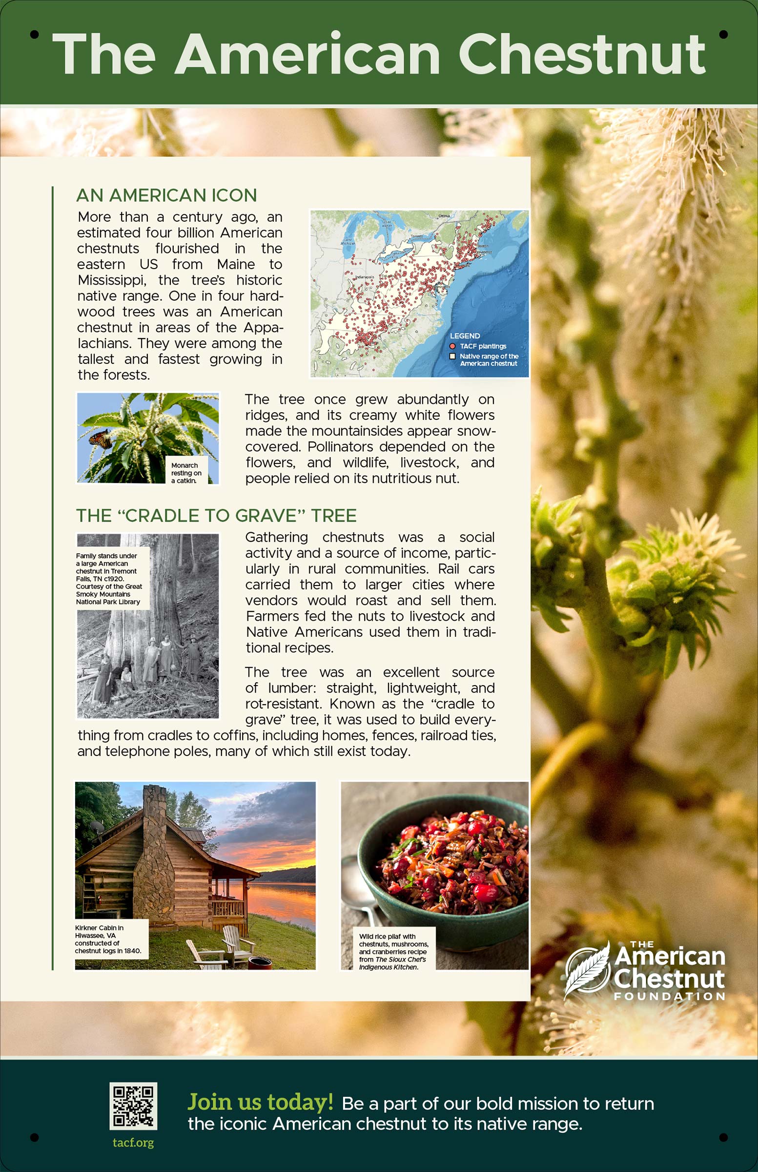 Panel1_TACF_Vert-2400 TACF Orchard sign artwork: Vertical panel one, 2026