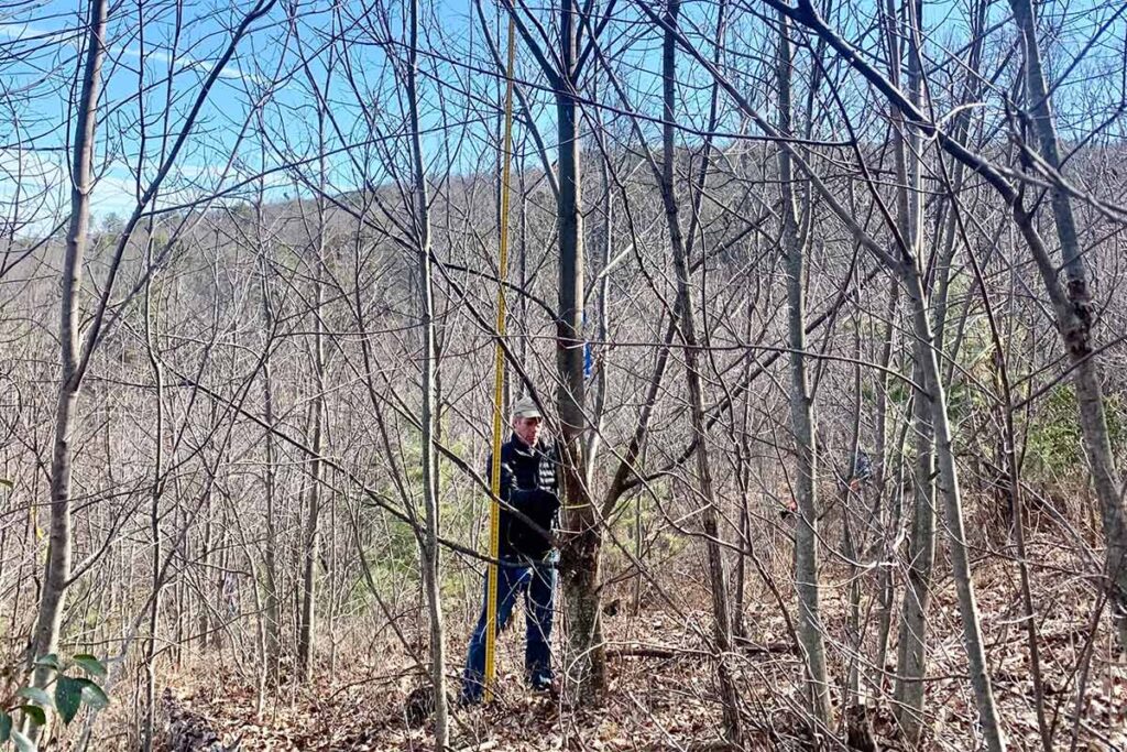 VA Johns Creek Specimen Tree